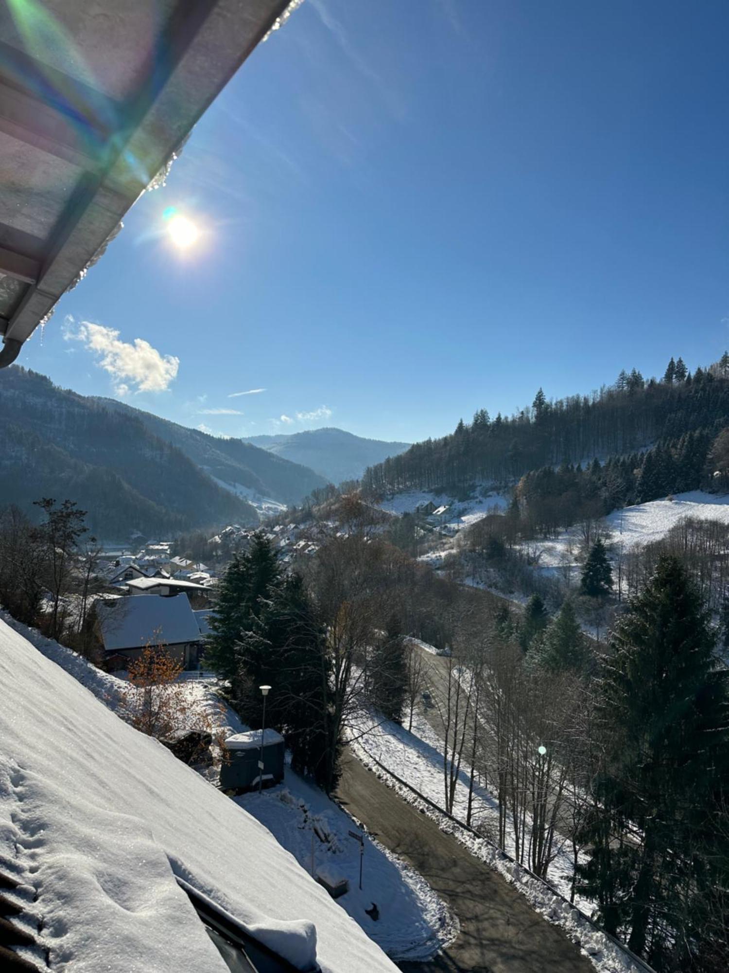 Bollenlodge - Ferienwohnung Mit Ausblick Und Top Lage Todtnau Extérieur photo